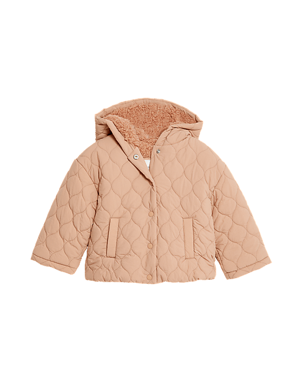Hooded Jacket (0-3 Yrs)