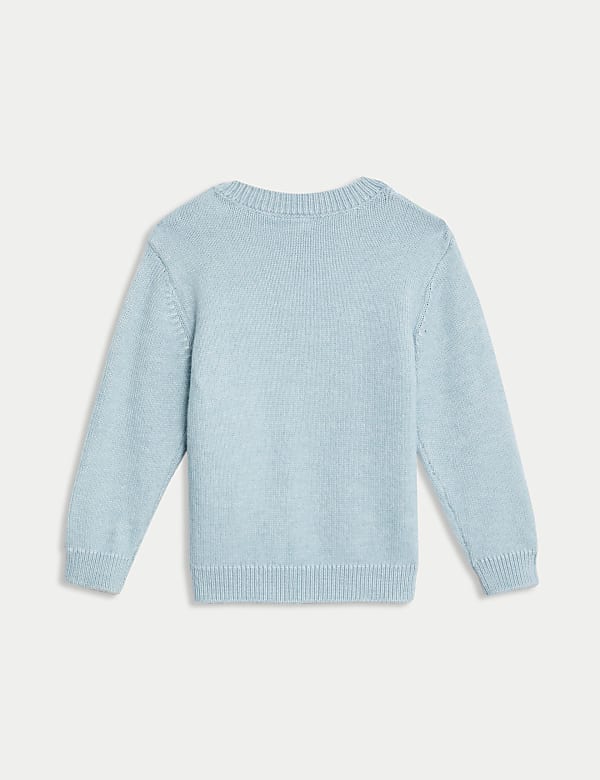 Pull &agrave; motif oiseau (jusqu&rsquo;au 3 ans) - BE