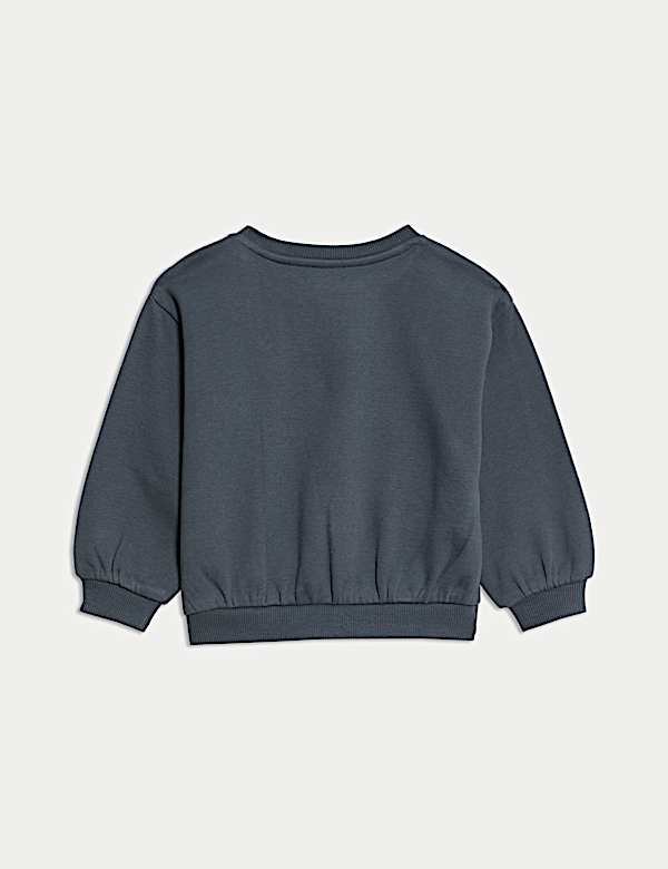 Jersey Embroidered Nature Sweatshirt (0-6 Yrs) - CH