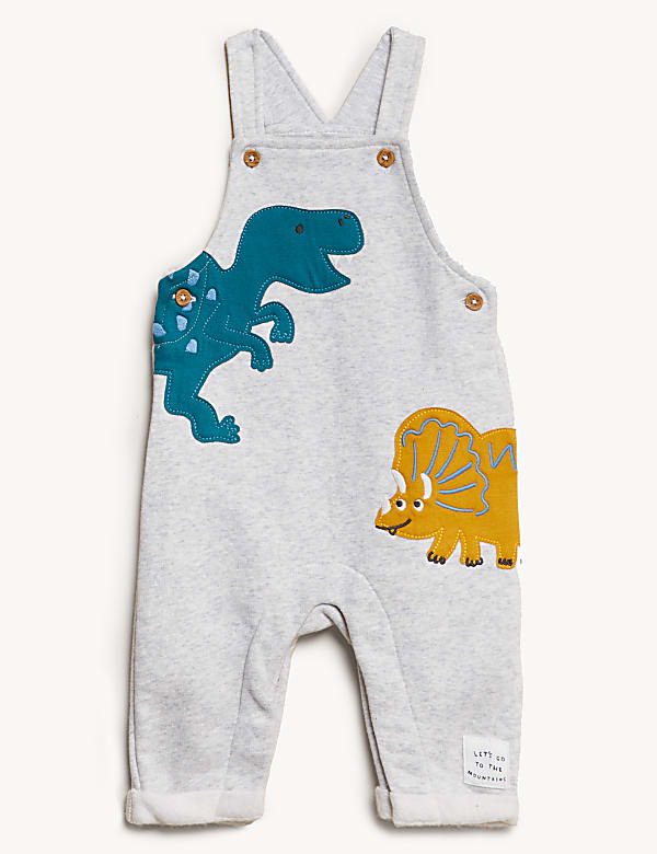 2pc Pure Cotton Dinosaur Outfit