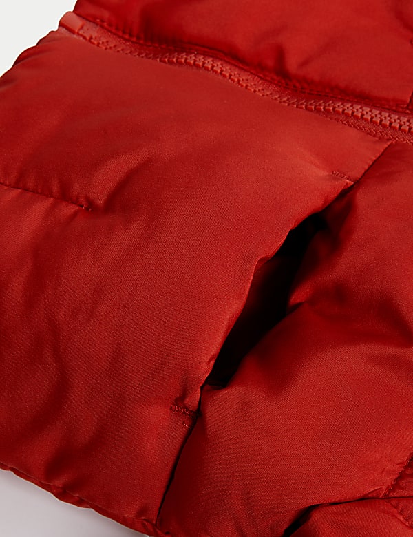 Hooded Padded Coat (0-3 Yrs)