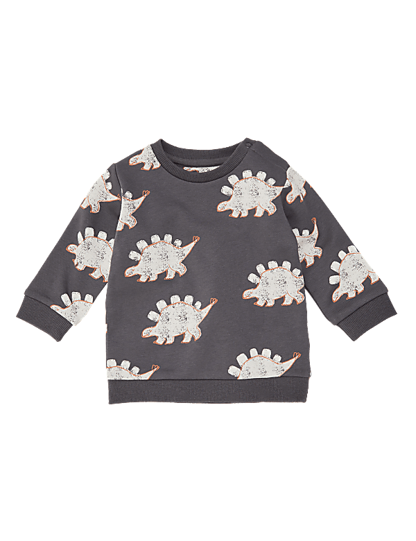 Cotton Dinosaur Print Sweatshirt (0-3 Yrs)