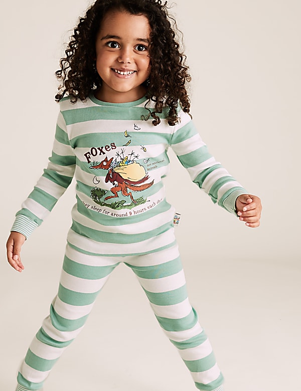 Roald Dahl™ & NHM™ Fantastic Fox Pyjama Set