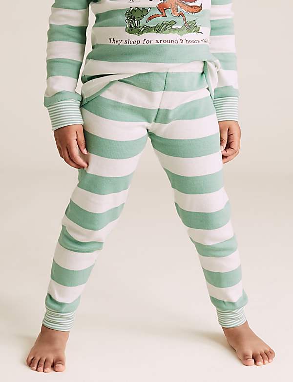 Roald Dahl™ & NHM™ Fantastic Fox Pyjama Set
