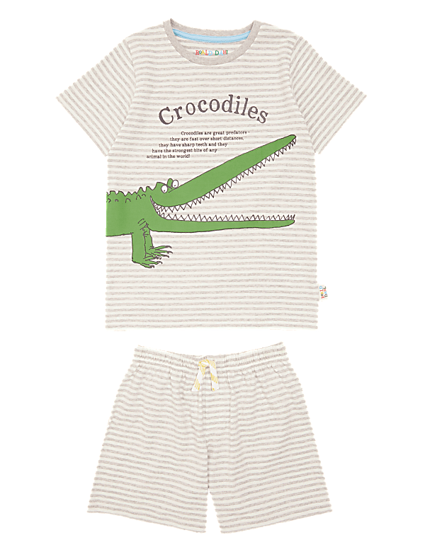 Roald Dahl™ & NHM™ Crocodile Pyjama Set