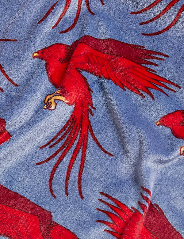 Harry Potter™ Velour Pyjamas (6-16 Yrs)