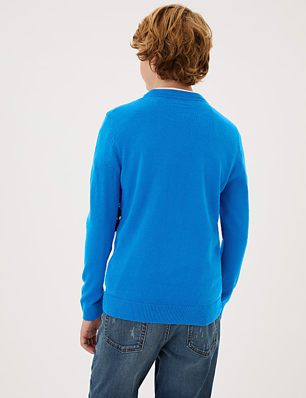 Penguin Jumper (6-16 Yrs)