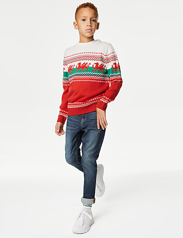 Mini Me Wales Christmas Jumper (6-16 Yrs)