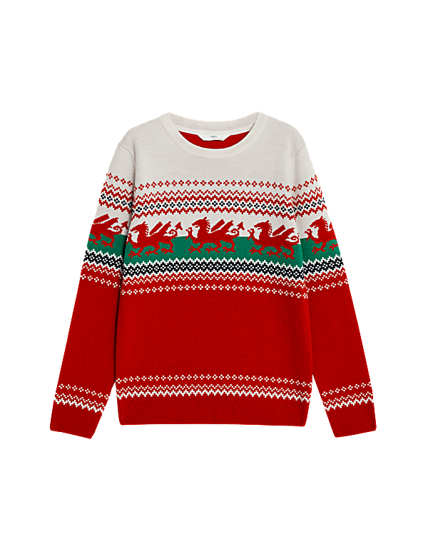 Mini Me Wales Christmas Jumper (6-16 Yrs)