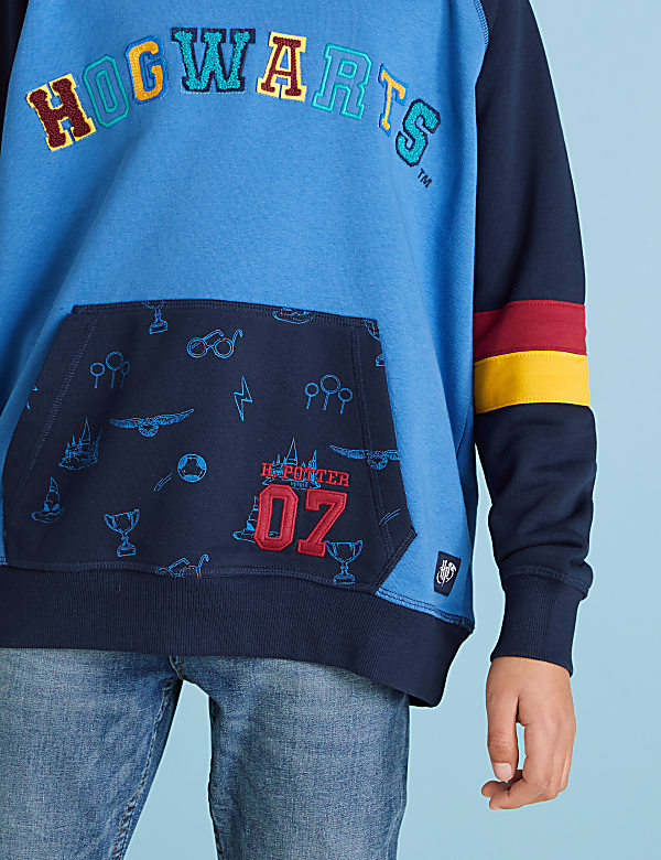 Harry Potter™ Hoodie (6-16 Yrs)