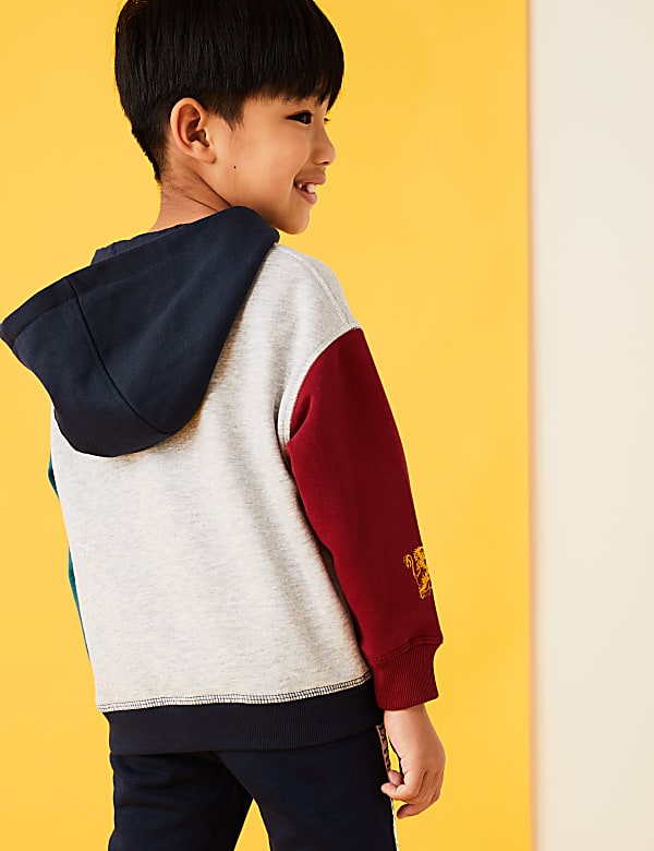 Harry Potter™ Quidditch Hoodie (2-16 Yrs)