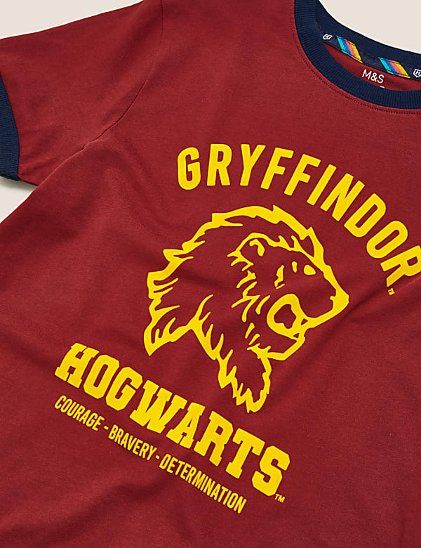 Harry Potter™ House T-Shirt (6-16 Yrs)