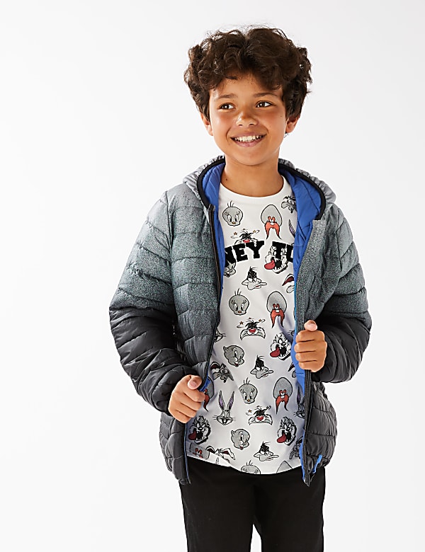 Stormwear™ Lightweight Padded Ombre Jacket