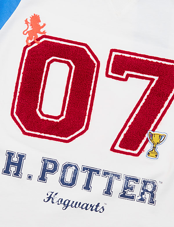 Harry Potter™ Cotton Rich T-Shirt (2-16 Yrs)