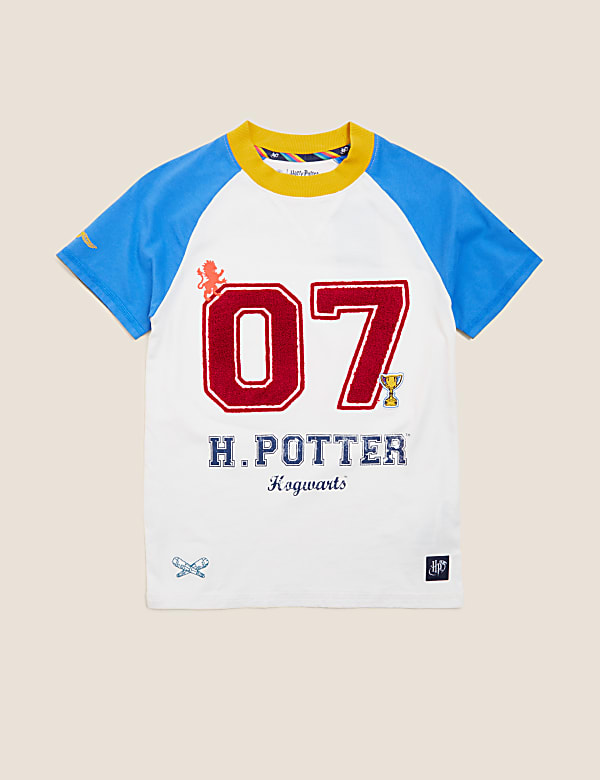 Harry Potter™ Cotton Rich T-Shirt (2-16 Yrs)