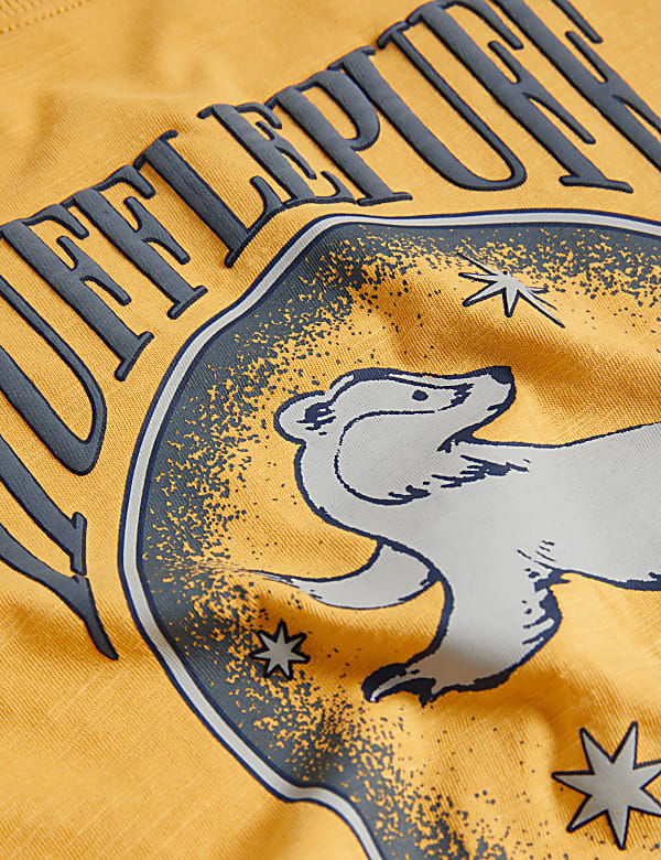 Pure Cotton Harry Potter™ Slytherin T-Shirt