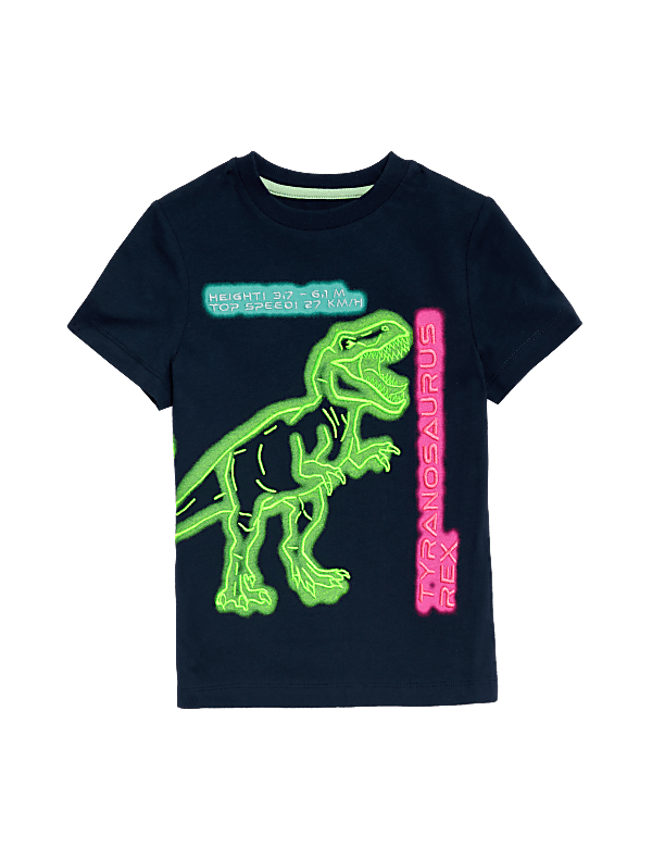 Pure Cotton Dinosaur T-Shirt (2-8 Yrs)