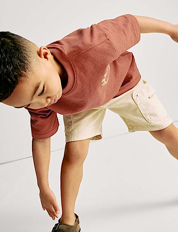 Pure Cotton Embroidered T-Shirt (2-8 Yrs) - FR