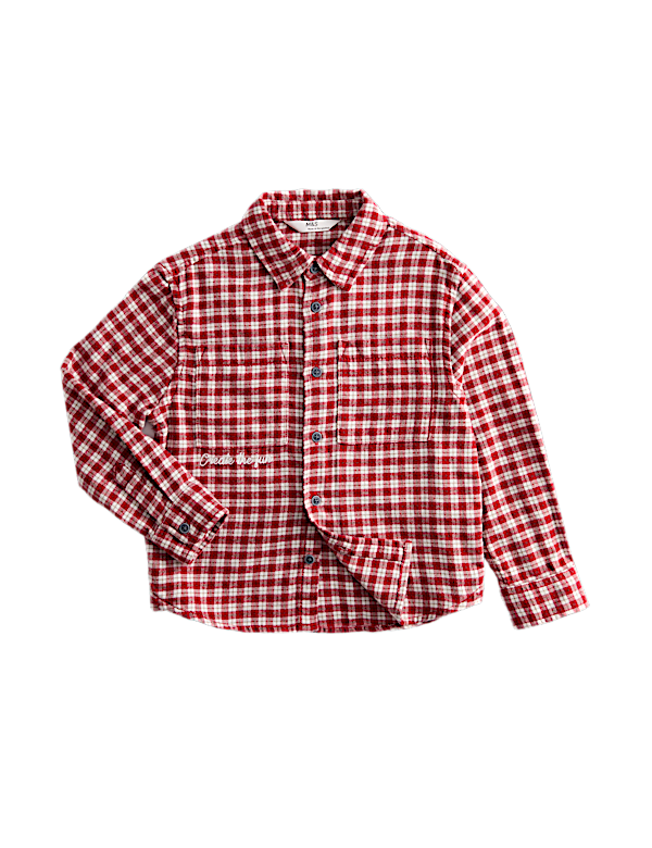 Pure Cotton Checked Shirt (2-8 Yrs)