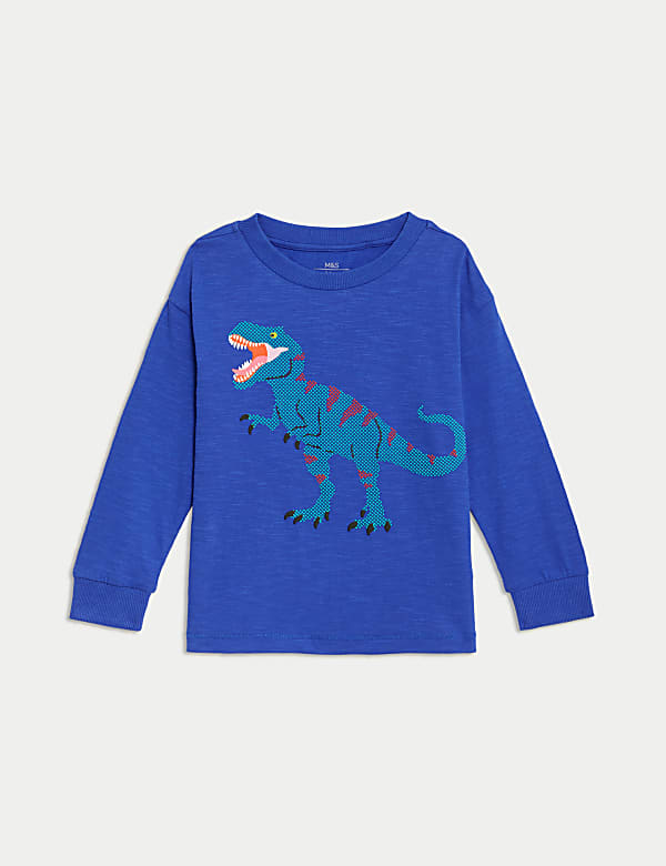 Pure Cotton Dinosaur Graphic Top (2-8 Yrs)