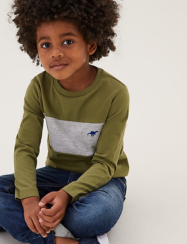 3pk Pure Cotton Dinosaur Tops (2-7 Yrs)