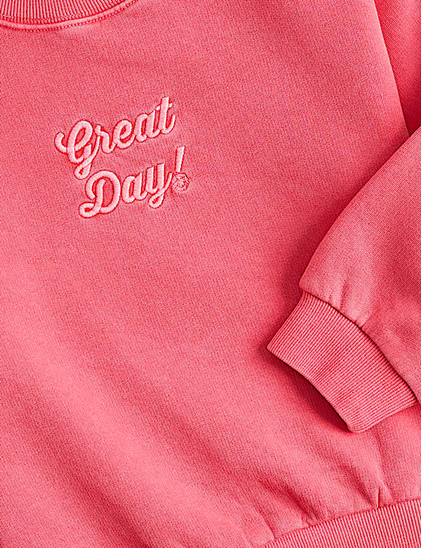 Cotton Rich Graphic Sweatshirt (2-8 Yrs)