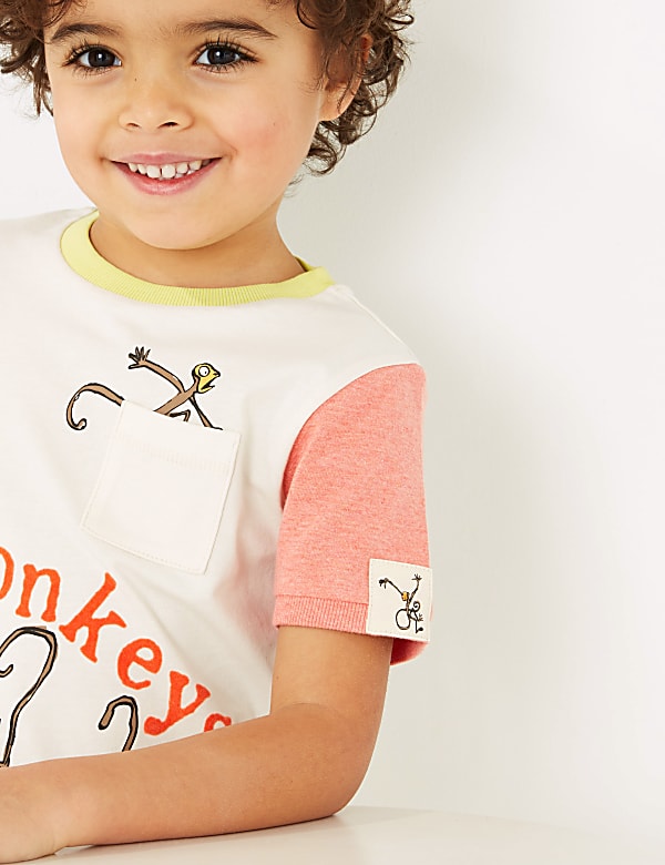 Roald Dahl™ & NHM™ Monkey T-Shirt (2-7 Yrs)