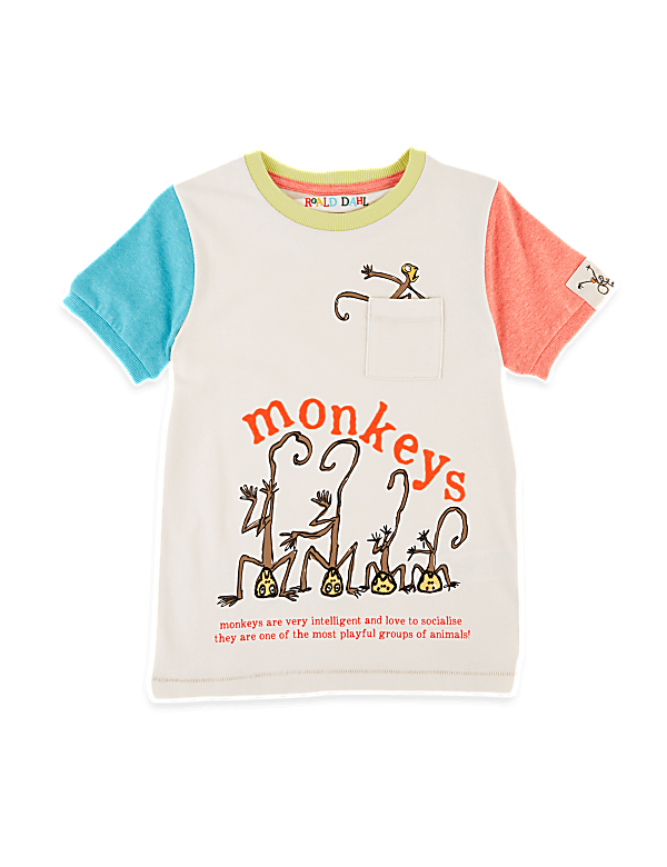 Roald Dahl™ & NHM™ Monkey T-Shirt (2-7 Yrs)