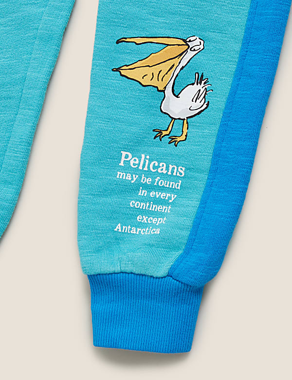 Roald Dahl™ & NHM™ Pelican Joggers