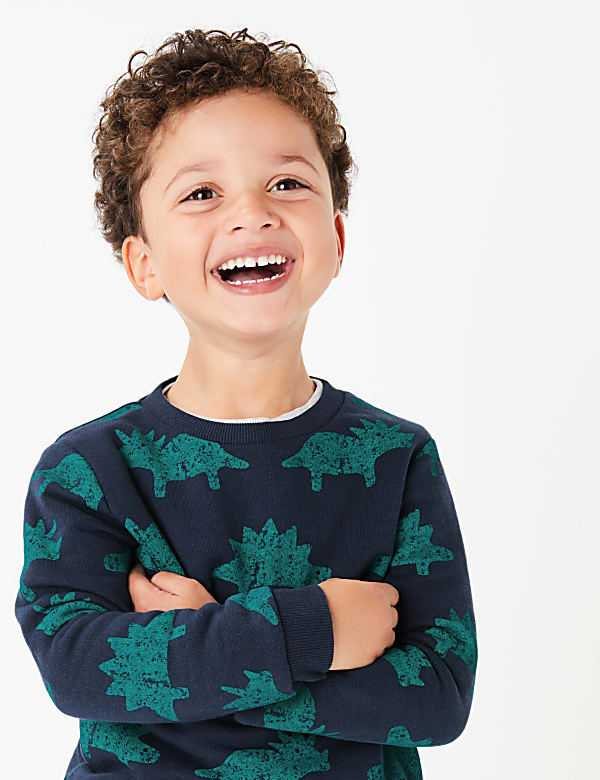 Cotton Dinosaur Sweatshirt (3 Mths - 7 Yrs)