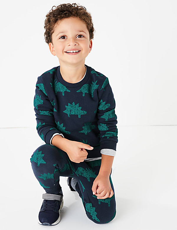 Cotton Dinosaur Sweatshirt (3 Mths - 7 Yrs)