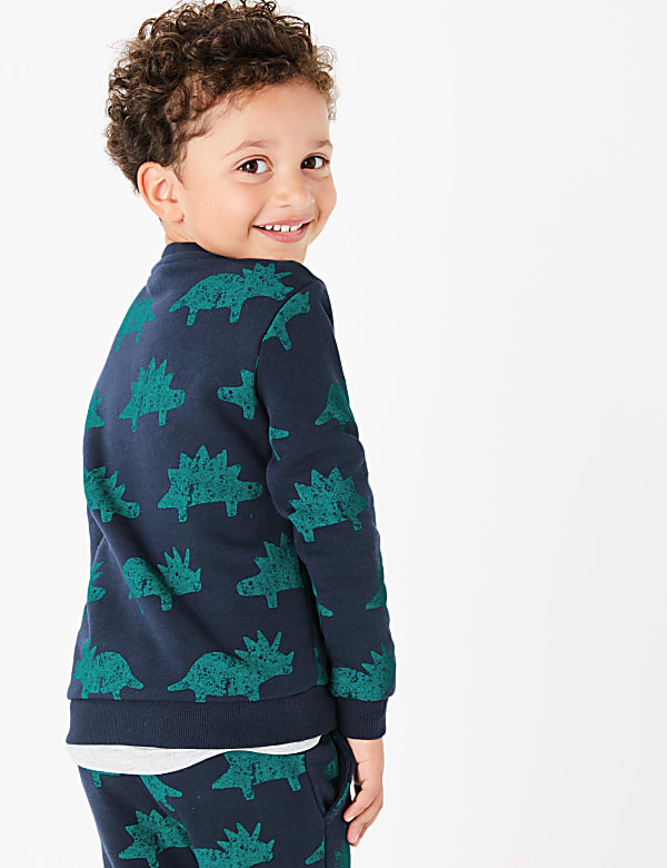 Cotton Dinosaur Sweatshirt (3 Mths - 7 Yrs)