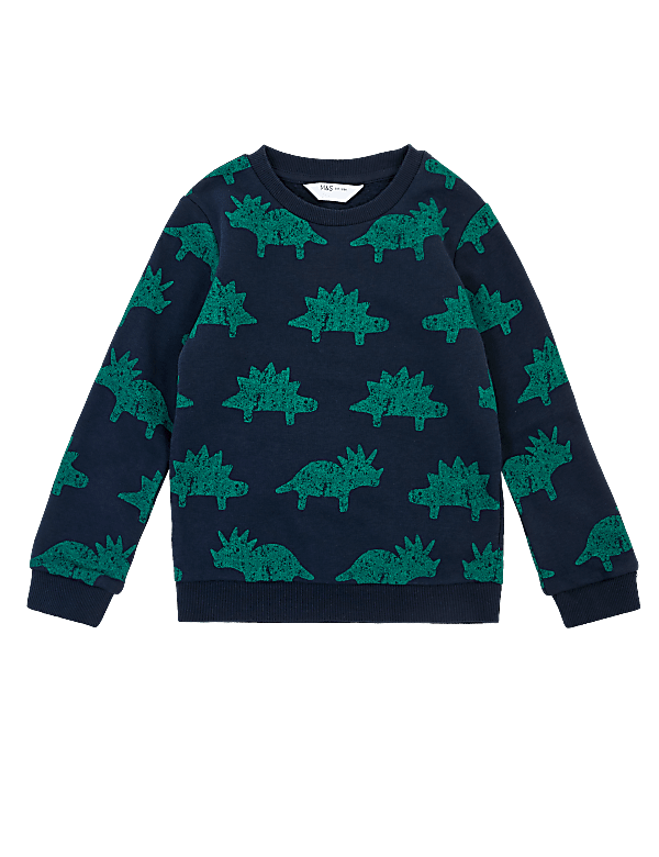 Cotton Dinosaur Sweatshirt (3 Mths - 7 Yrs)