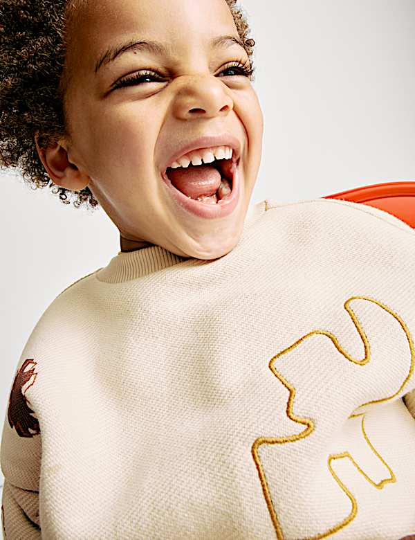 Cotton Rich Embroidered Sweatshirt (2-8 Yrs) - LU