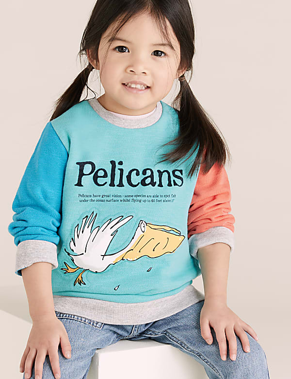 Roald Dahl™ & NHM™ Pelican Sweatshirt