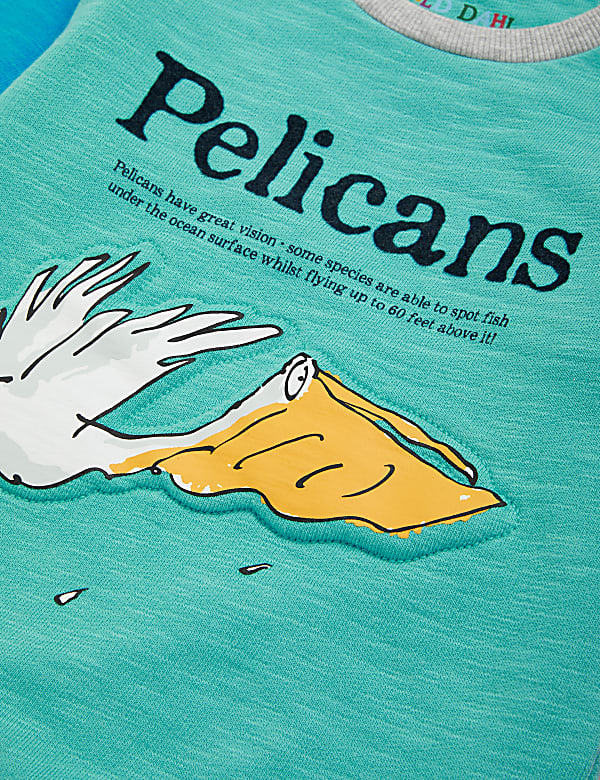 Roald Dahl™ & NHM™ Pelican Sweatshirt