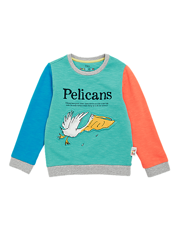 Roald Dahl™ & NHM™ Pelican Sweatshirt