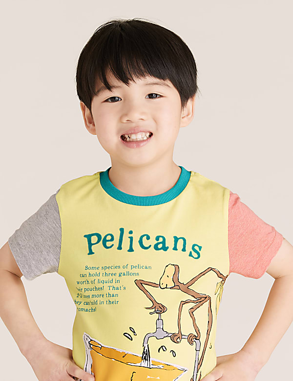Roald Dahl™ & NHM™ Pelican T-Shirt