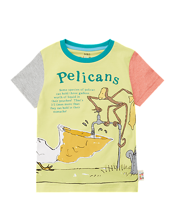 Roald Dahl™ & NHM™ Pelican T-Shirt