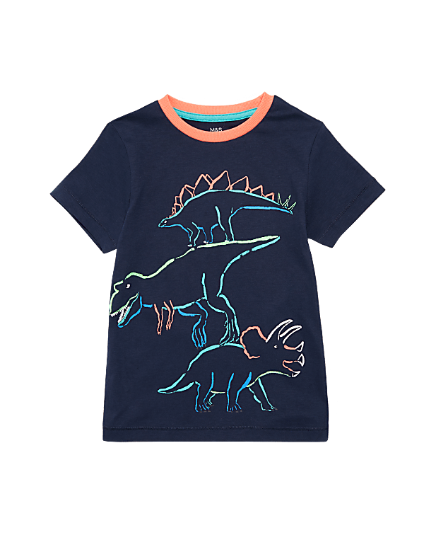 Organic Cotton Dinosaur T-Shirt (2-7 Yrs)