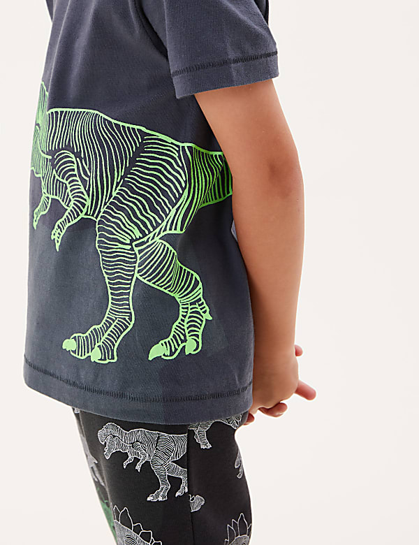 Pure Cotton Dinosaur T-Shirt (2-7 Yrs)