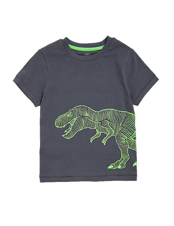Pure Cotton Dinosaur T-Shirt (2-7 Yrs)