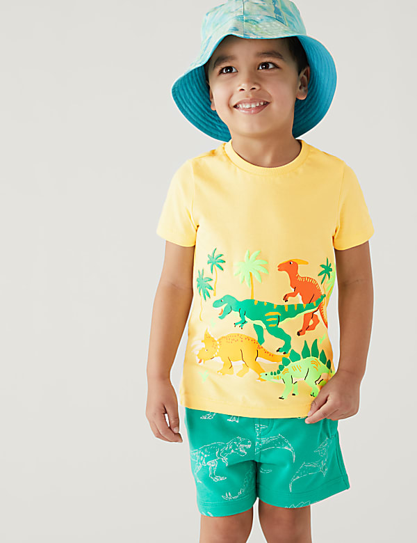Pure Cotton Dinosaur Print T-Shirt