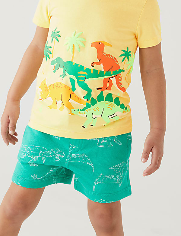 Pure Cotton Dinosaur Print T-Shirt