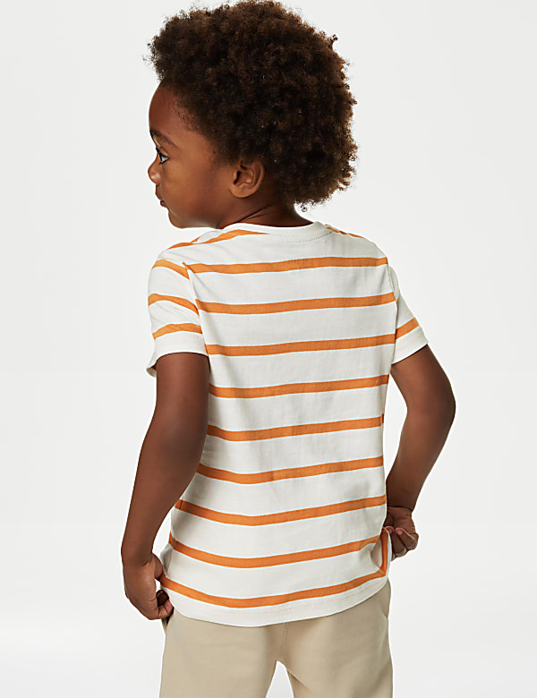 Pure Cotton Striped T-Shirt (2-8 Yrs)