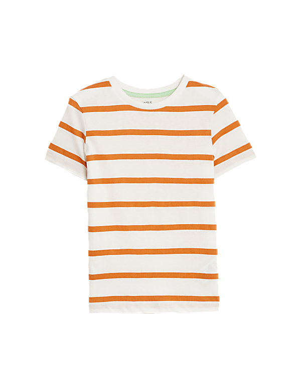 Pure Cotton Striped T-Shirt (2-8 Yrs)
