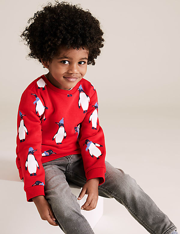 Cotton Penguin Print Sweatshirt (2-7 Yrs)