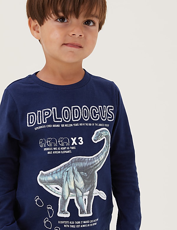 NHM™ Pure Cotton Dinosaur Top (2-12 Yrs)