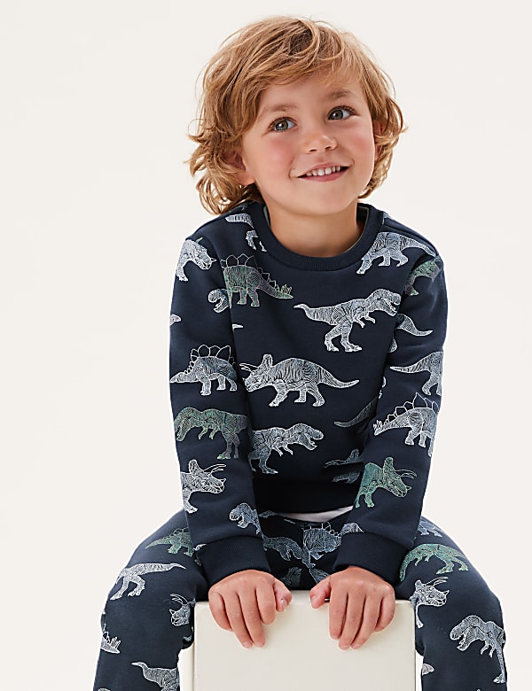 Cotton Rich Dinosaur Sweatshirt (2-7 Yrs)