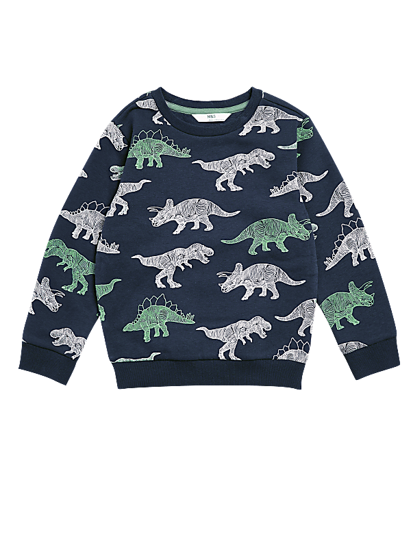 Cotton Rich Dinosaur Sweatshirt (2-7 Yrs)